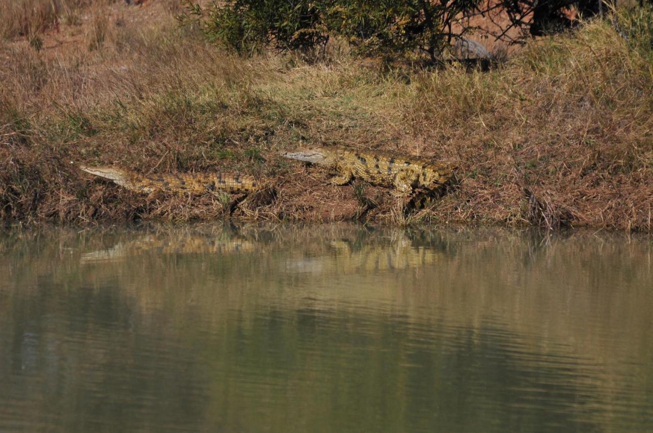 Mziki Safari Lodge Vaaldam Εξωτερικό φωτογραφία